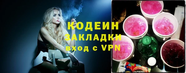 молекула духа Арсеньев