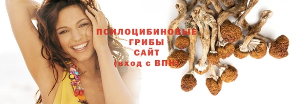 молекула духа Арсеньев