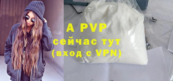 молекула духа Арсеньев