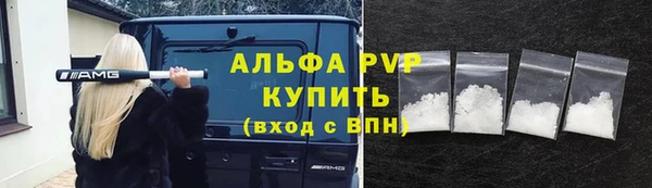 молекула духа Арсеньев