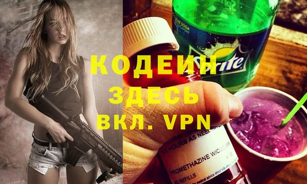 молекула духа Арсеньев