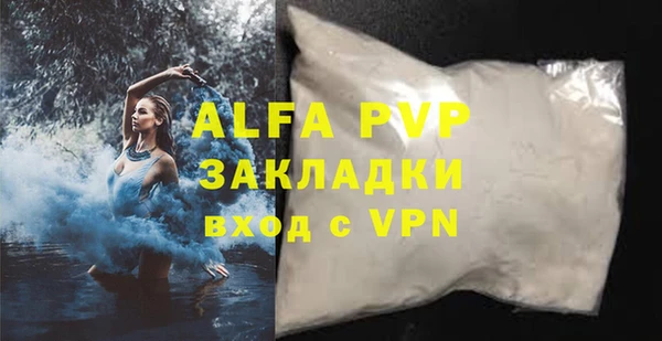молекула духа Арсеньев